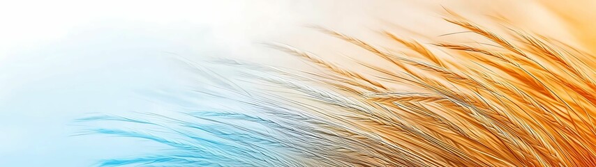 Gradient of yellow and blue tones, evoking warmth and serenity, copy space for text,