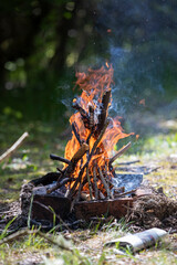 Feu de joie de branches avec de la fumée en foret. Flamme orange d'un feu de camp réalisé avec des branches. Arrière-plan de feu de joie.