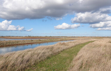 A beautiful view across Wallasea Island nature reserve on a bright October day in Essex, England, UK. 