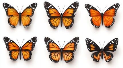 Six Beautiful Orange Butterflies Isolated on White Background