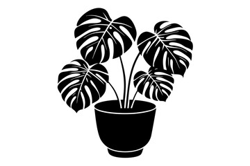 Obraz premium Monstera deliciosa plant in pot silhouette vector, potted plant vector silhouette vector