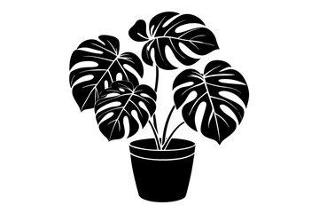 Monstera deliciosa plant in pot silhouette vector, potted plant vector silhouette vector

