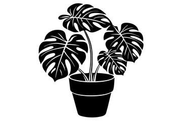 Silhouette of a monstera deliciosa plant in a pot © Trendy CraftSVG 