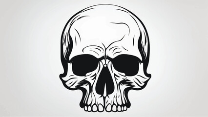 Black And White Skull Silhouette. Human skull vector illustration.  Skull silhouette, isolated on white background. Skull icon.