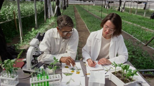Senior male botanist in lab coat sitting at desk with microscope and discussing herbarium specimen voucher with young female assistant taking notes during research in greenhouse