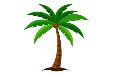 Coconut tree vector art illustration