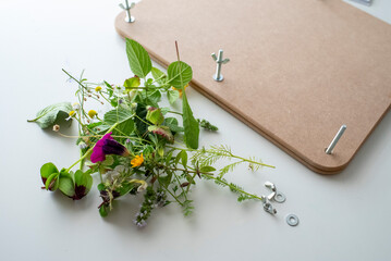 Press and dry fresh wild flowers and leaves with the flower press.