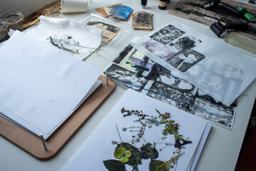Gel printing with acrylic paint. Printing of plants, leaves and flowers on paper