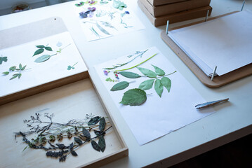 Press and dry fresh wild flowers and leaves with the flower press.