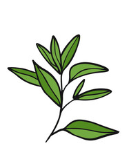 Green tea leaves. Hand drawn illustration of branch.