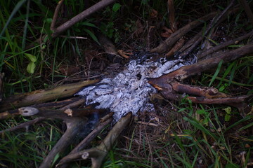 Ashes from a campfire in the forest.