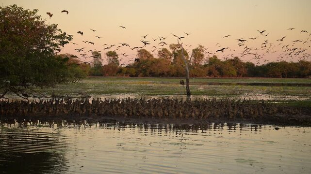 Kakadu National Park, Northern Territory, Australia, dusk at Yellow water