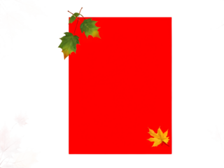 Blank autumn invitation card thanksgiving background. Flat layout fall design autumn leaves border frame. Flat fall leaves invitation design leaves template autumn greeting card transparent background