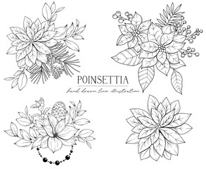 Line drawing Christmas poinsettia flowers and holly tree, bouquets and floral arrangements, hand drawn vector line art illustration