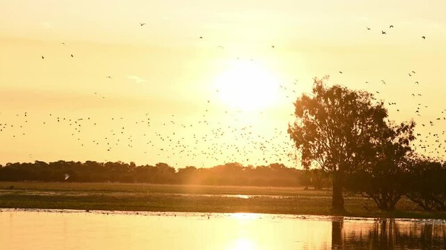 Kakadu National Park, Northern Territory, Australia, dusk at Yellow water