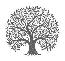 Tree silhouette icon template design vector image