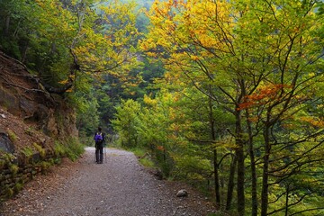 Obraz premium Autumn in Ordesa valley, Spanish Pyrenees