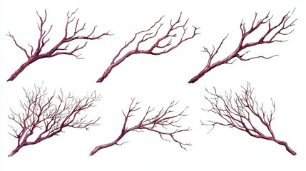 Obraz premium Hand-painted watercolor collection of intricate dry tree branches, emphasizing organic shapes and textures, suitable for artistic projects and nature-inspired designs.