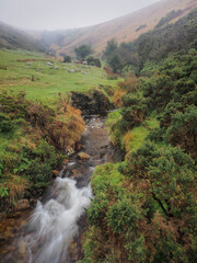 Stream winding its way down a steep gulley into Meldon Reservoir under low cloud, Dartmoor National...