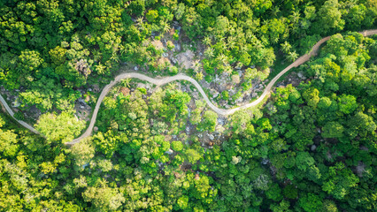 aerial top down narrowed switchback road in to the jungle with green palm tree vegetation in...