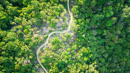 aerial top down narrowed switchback road in to the jungle with green palm tree vegetation in...
