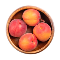 Four fresh apricots in a white bowl. Stone fruits of Prunus armeniaca, similar to a small peach. Yellow fruits, tinged red on the side most exposed to sun, with smooth surface and sweet to tart taste.