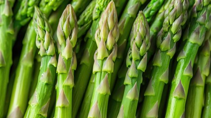 Fototapeta premium A close-up of green asparagus spears, fresh and ready to cook, a healthy vegetable option