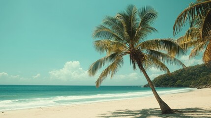 Obraz premium A green palm tree swaying in the breeze on a tropical beach, symbolizing relaxation -