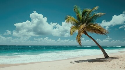 Fototapeta premium A green palm tree swaying in the breeze on a tropical beach, symbolizing relaxation -
