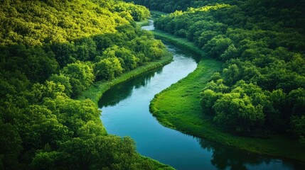 A green river winding through a forest, peaceful and serene, surrounded by nature