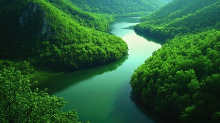 A green river winding through a forest, peaceful and serene, surrounded by nature