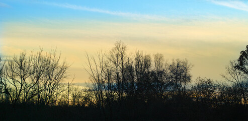 Obraz premium Sunset, sky and clouds with trees in autumn for eco friendly, environment and change of season. Earth, outdoor and woods with leaves at countryside for sustainability, ecology and peace in nature