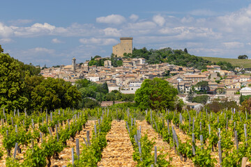 Typical vineyard with stones near Chateauneuf-du-Pape, Cotes du Rhone, France