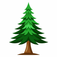 Here is a cartoon illustration depicting a pine tree set on a white background