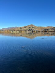 Lake Hayes, Queenstown, South Island of New Zealand