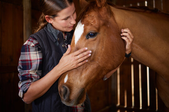 Barn, hug and woman with horse, petting and routine of care for animal, relax and love for pet. Ranch, smile and person with affection for stallion, rancher and happy for bonding in countryside