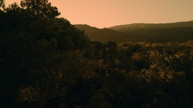 Aerial View Of A Forest In Spain During Sunset