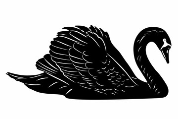 swan isolated illustration, black and white drawing, white background