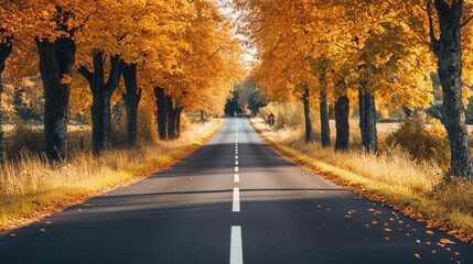 Fototapeta premium Golden autumn trees lining a quiet road, creating a picturesque and peaceful scene