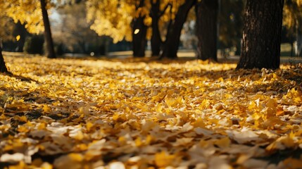 Golden autumn leaves falling from trees, covering the ground in a beautiful seasonal blanket