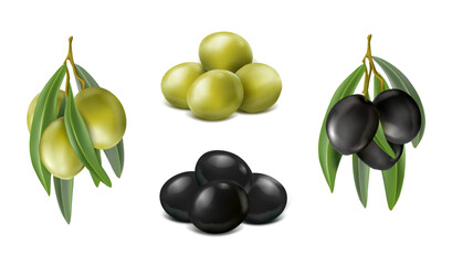 3d realistic vector icon set. Fresh whole olives and olives on the branch. Green olives and black olives.