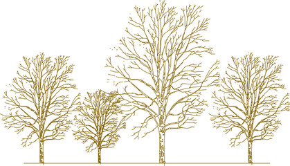 Fototapeta premium Vector sketch, silhouette illustration, detailed drawing design, collection of abstract unique trees in the forest with lots of branches for greenery