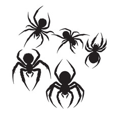 spider on a white background