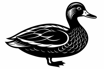 duck silhouette vector illustration