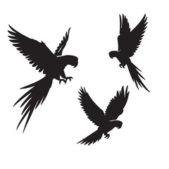 eagle vector illustration