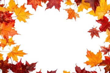 Autumn Leaves Frame with White Background