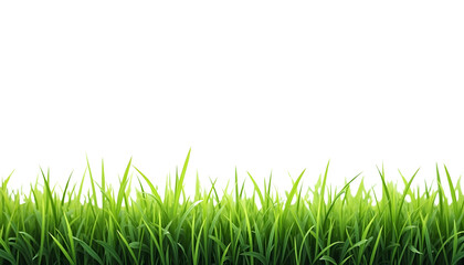 Obraz premium green grass border, png, transparent background, Ai generated Images