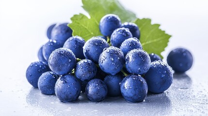 Fresh, ripe blue grapes with leaves glisten with water droplets, forming a picturesque bunch on a pristine white canvas.