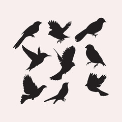 birds vector 