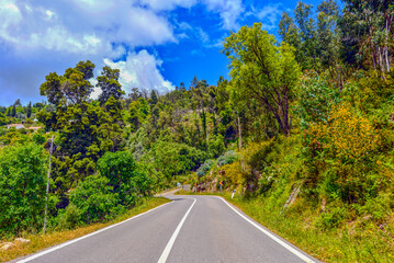 N266-3 Monchique in Richtung Fóia, Algarve (Portugal)